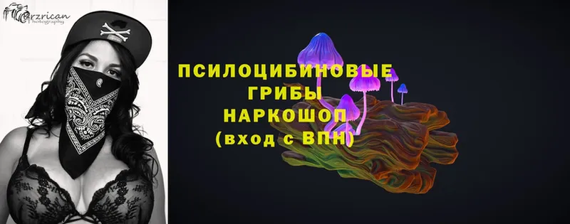 Галлюциногенные грибы MAGIC MUSHROOMS  гидра как войти  Ладушкин 